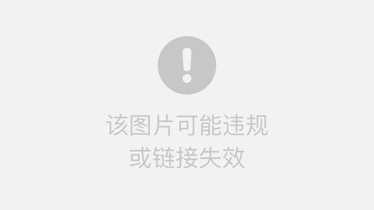反向代理防护作用全解析：隐藏服务器、防DDoS攻击与Web应用安全配置指南